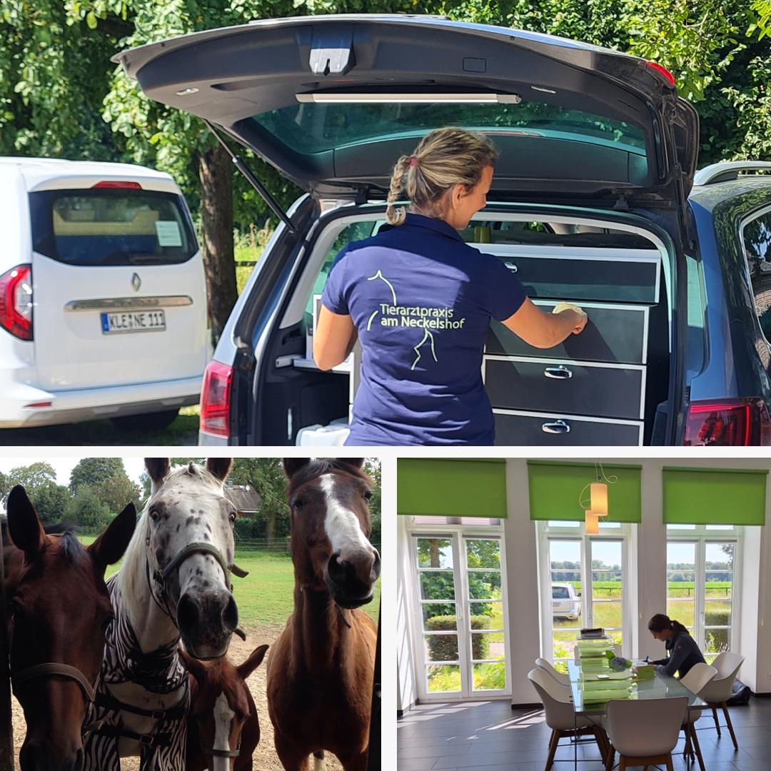 Tierarztpraxis am Neckelshof - unsere Vision